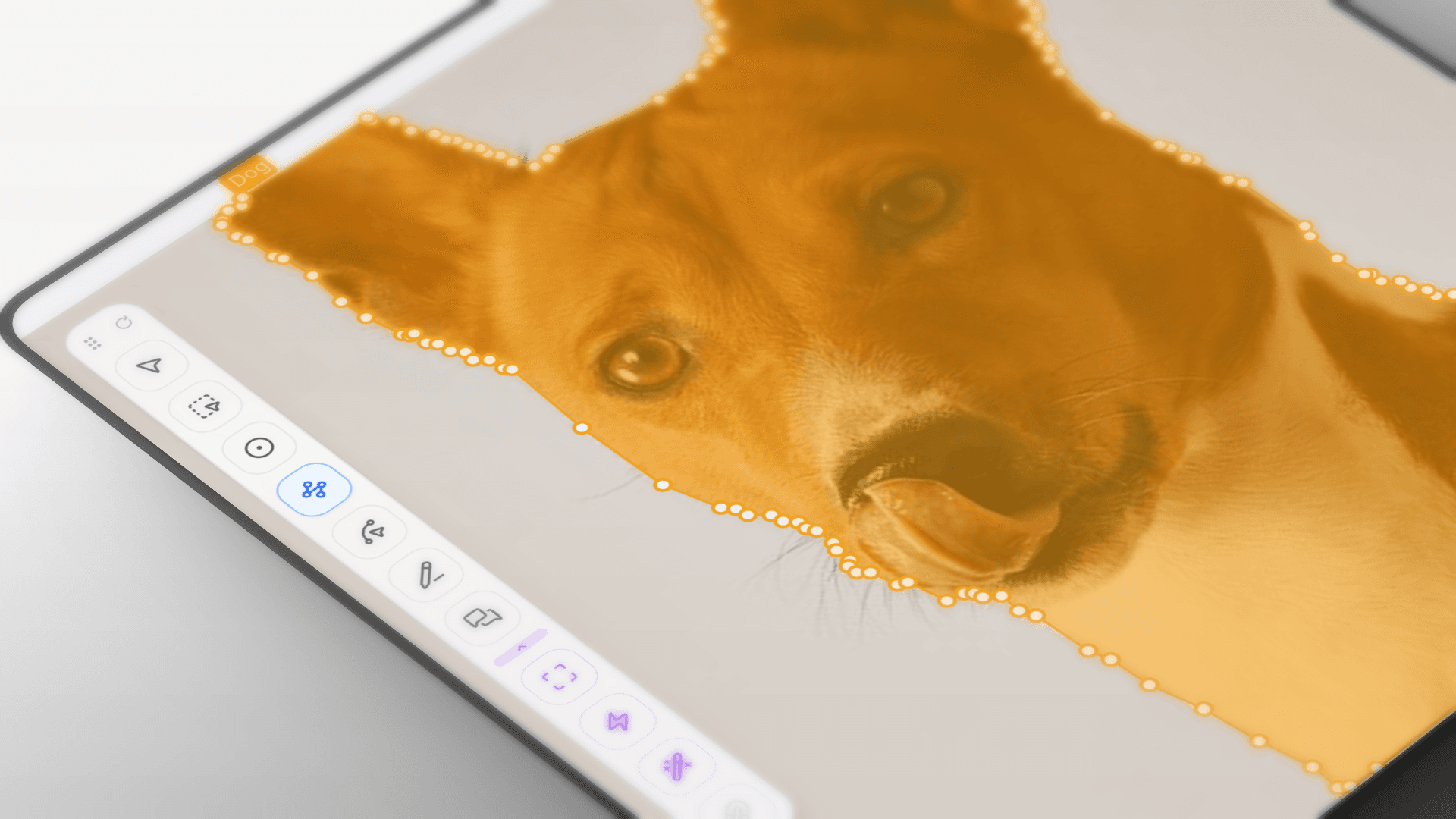 PixlHub point annotation tool demo