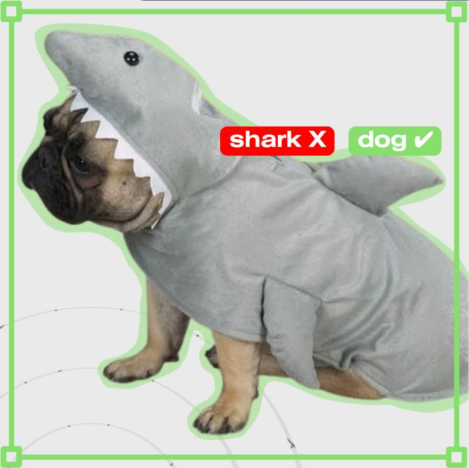 Image Classification